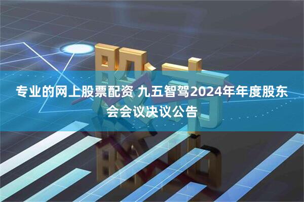 专业的网上股票配资 九五智驾2024年年度股东会会议决议公告