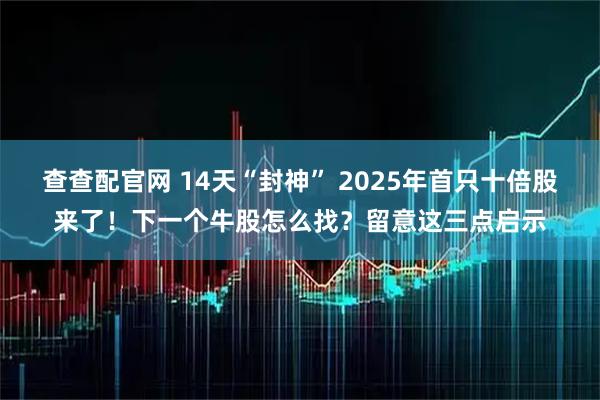 查查配官网 14天“封神” 2025年首只十倍股来了！下一个牛股怎么找？留意这三点启示